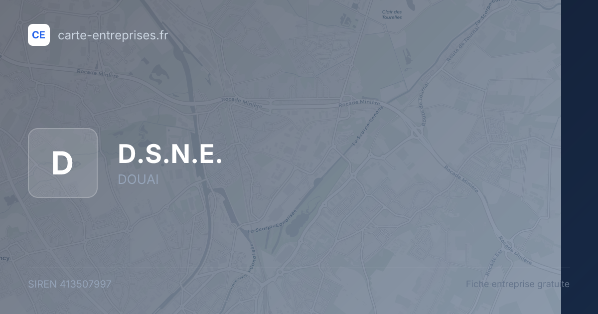 D.S.N.E. — 413507997 — fiche entreprise