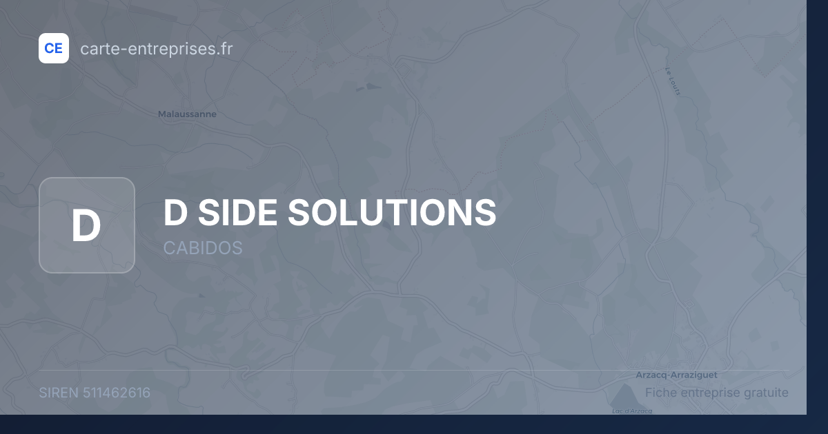D SIDE SOLUTIONS — 511462616 — fiche entreprise