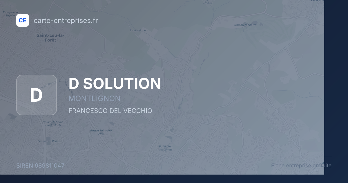 D SOLUTION — 989811047 — fiche entreprise