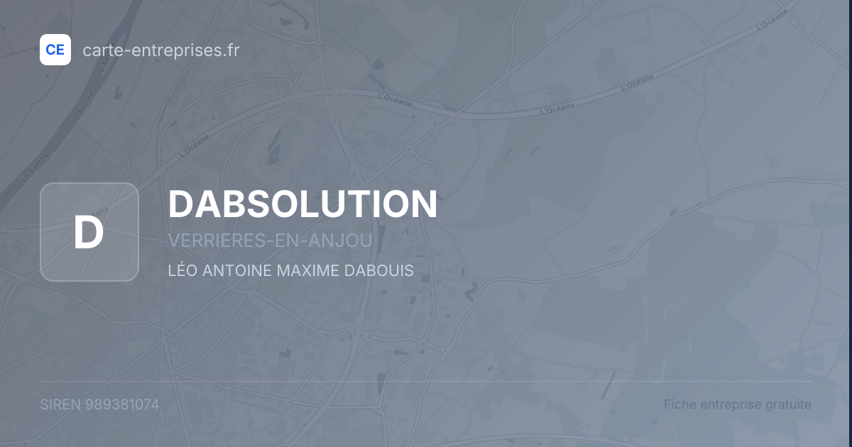 DABSOLUTION — 989381074 — fiche entreprise