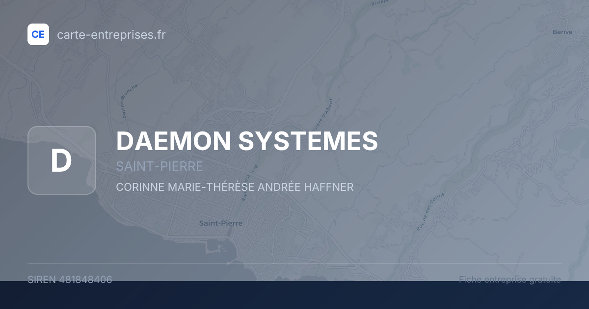 DAEMON SYSTEMES — 481848406 — fiche entreprise