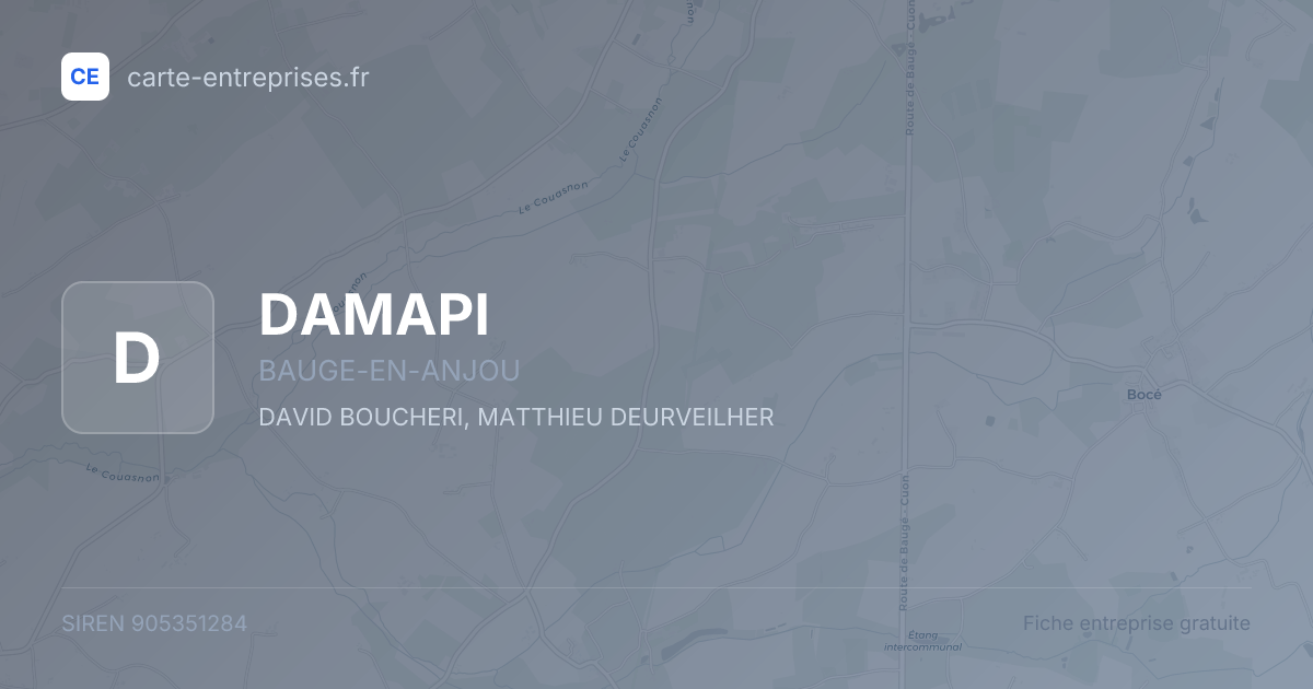 DAMAPI — 905351284 — fiche entreprise