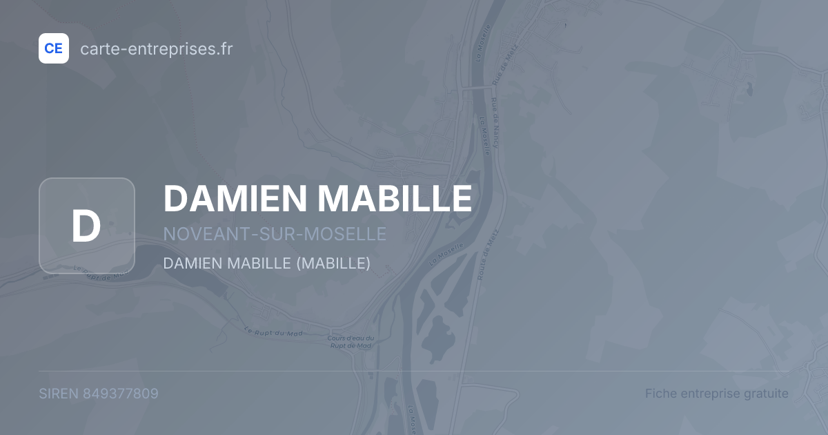 DAMIEN MABILLE — 849377809 — fiche entreprise