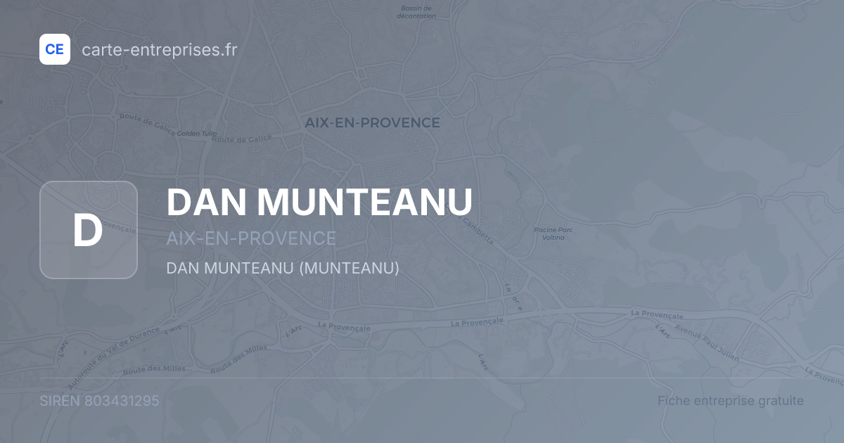 DAN MUNTEANU — 803431295 — fiche entreprise