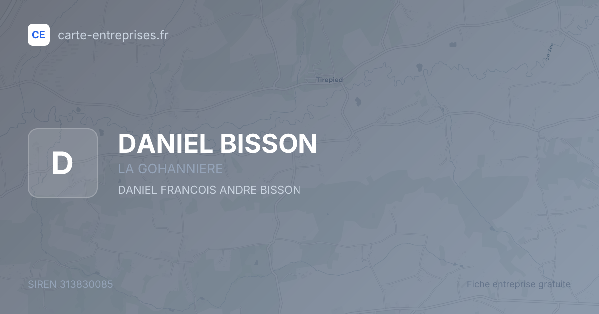 DANIEL BISSON — 313830085 — fiche entreprise