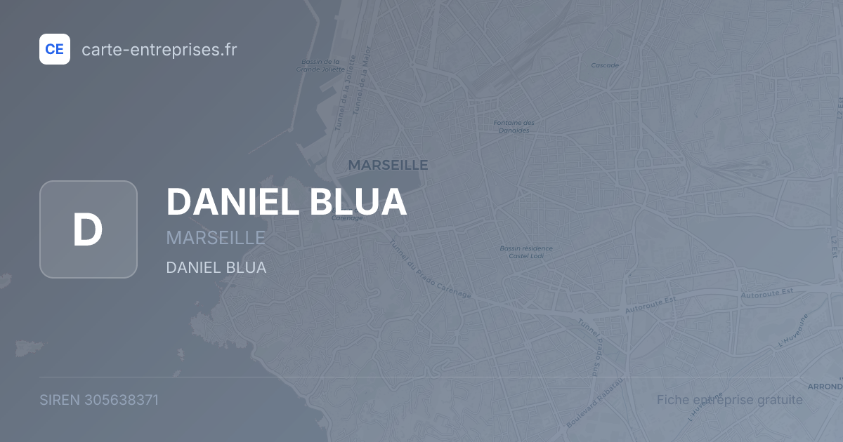 DANIEL BLUA — 305638371 — fiche entreprise