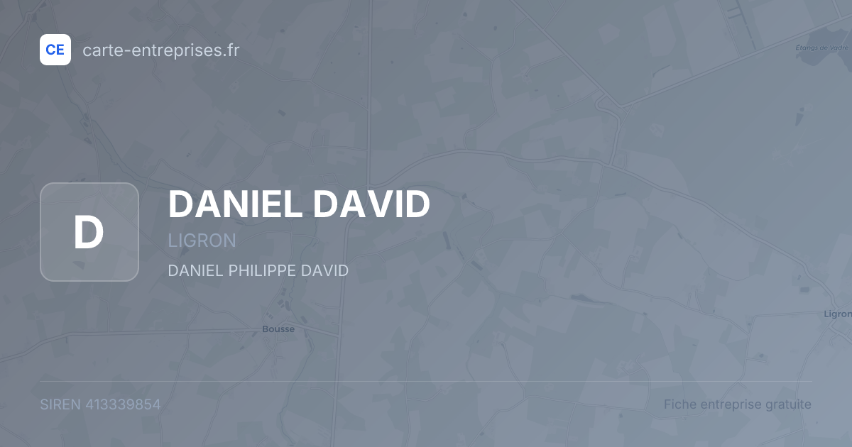 DANIEL DAVID — 413339854 — fiche entreprise
