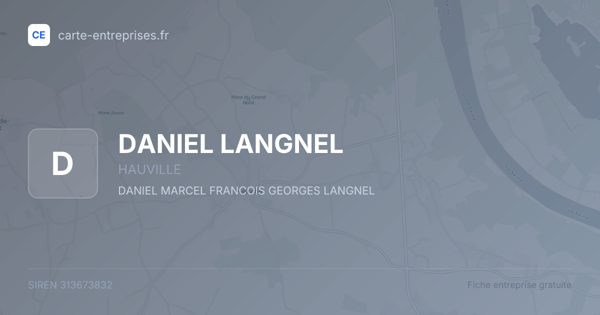 DANIEL LANGNEL — 313673832 — fiche entreprise