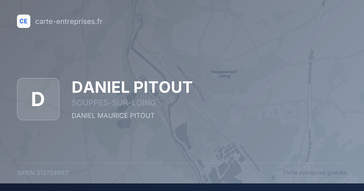 DANIEL PITOUT — 313754863 — fiche entreprise