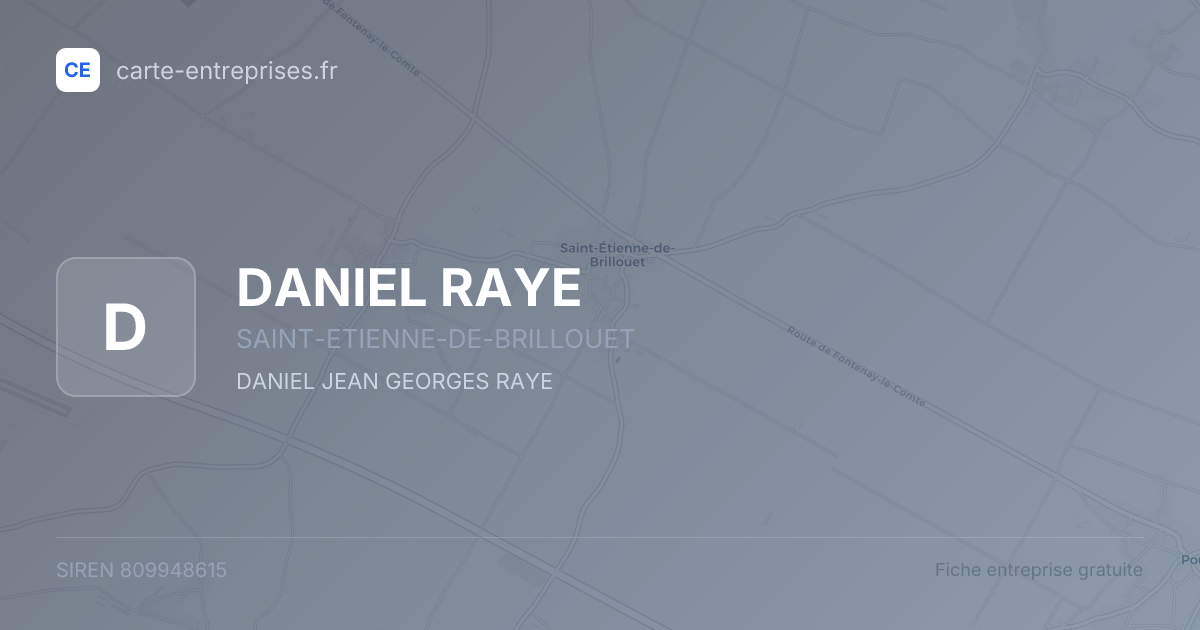 DANIEL RAYE — 809948615 — fiche entreprise