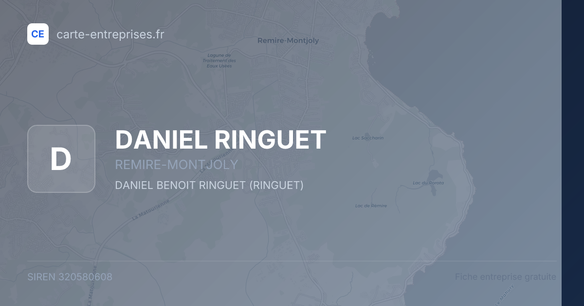 DANIEL RINGUET — 320580608 — fiche entreprise