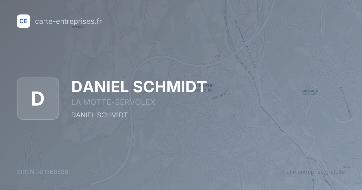 DANIEL SCHMIDT — 381368596 — fiche entreprise