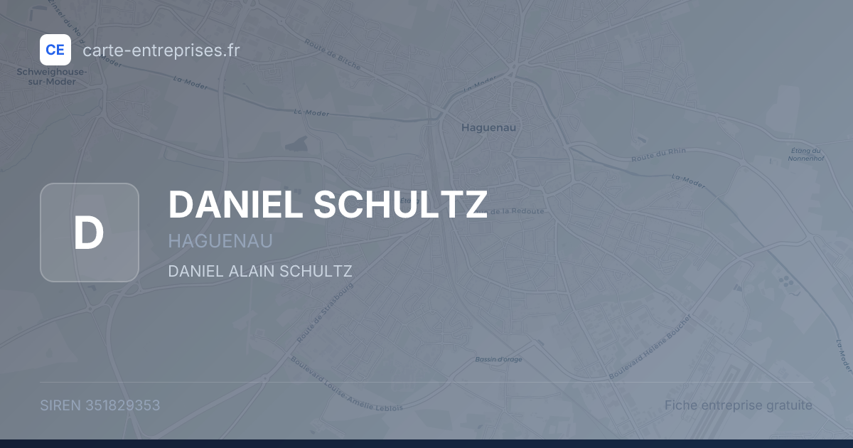 DANIEL SCHULTZ — 351829353 — fiche entreprise