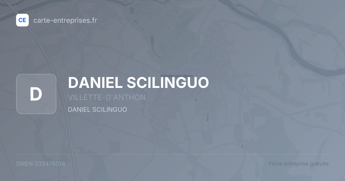 DANIEL SCILINGUO — 333478014 — fiche entreprise