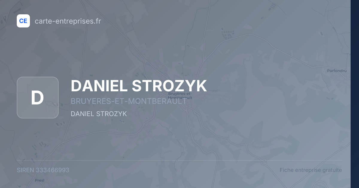 DANIEL STROZYK — 333466993 — fiche entreprise