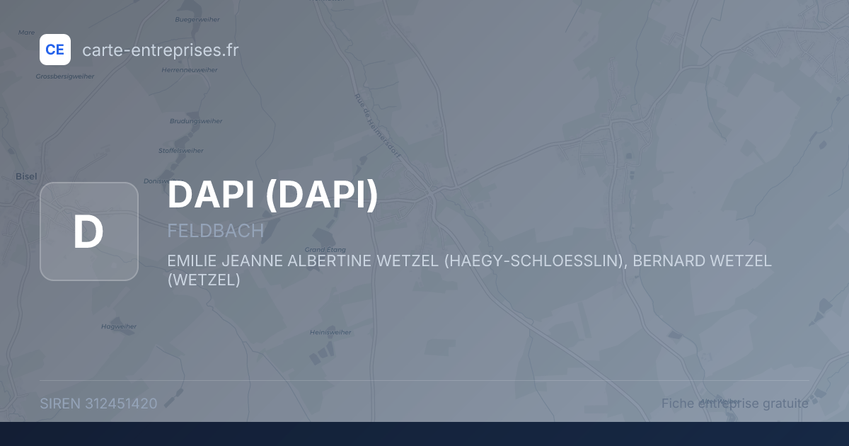 DAPI — 312451420 — fiche entreprise