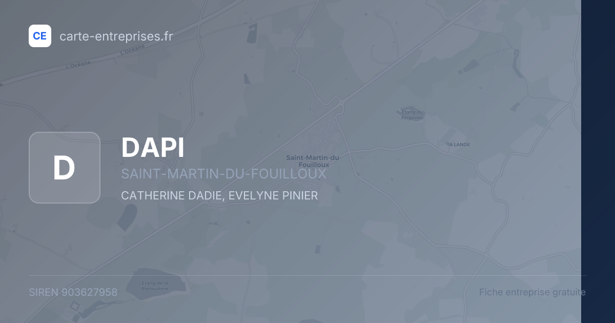 DAPI — 903627958 — fiche entreprise