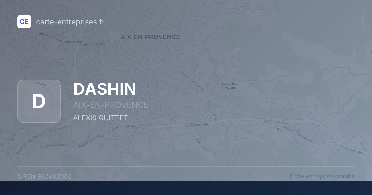 DASHIN — 982482002 — fiche entreprise