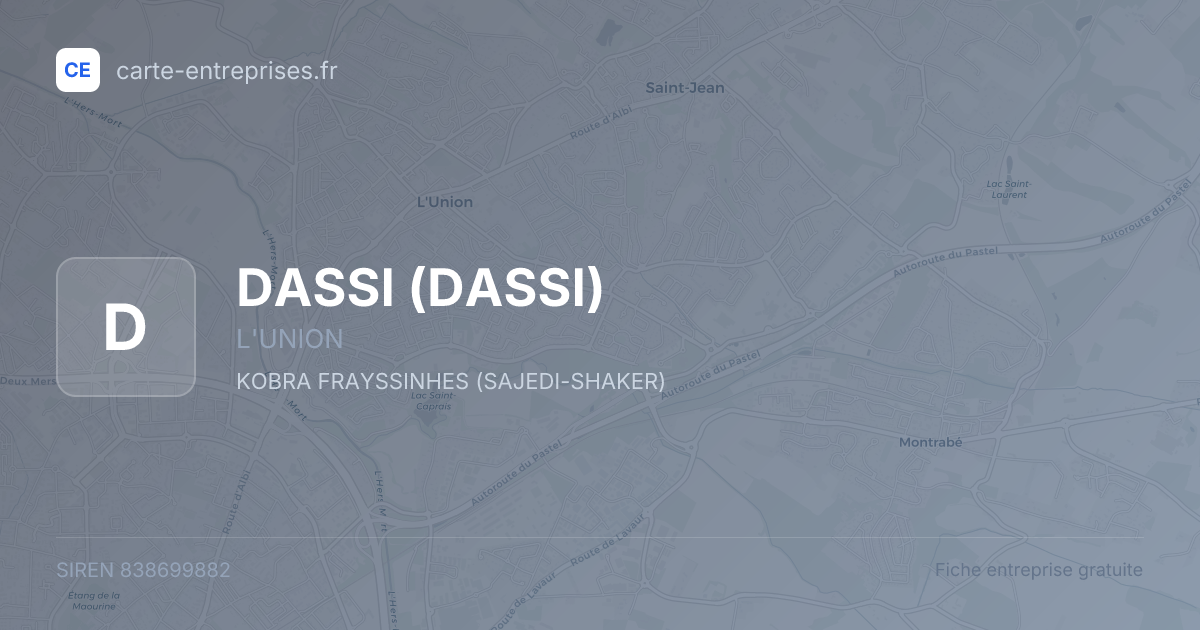 DASSI — 838699882 — fiche entreprise