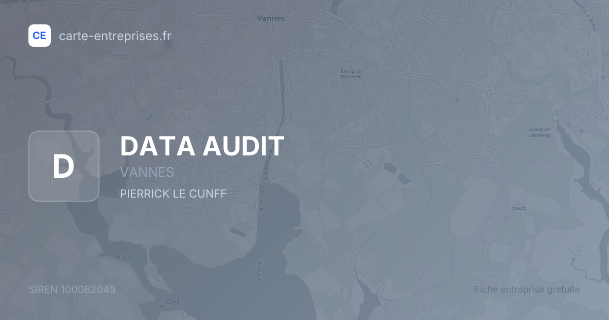 DATA AUDIT — 100082049 — fiche entreprise
