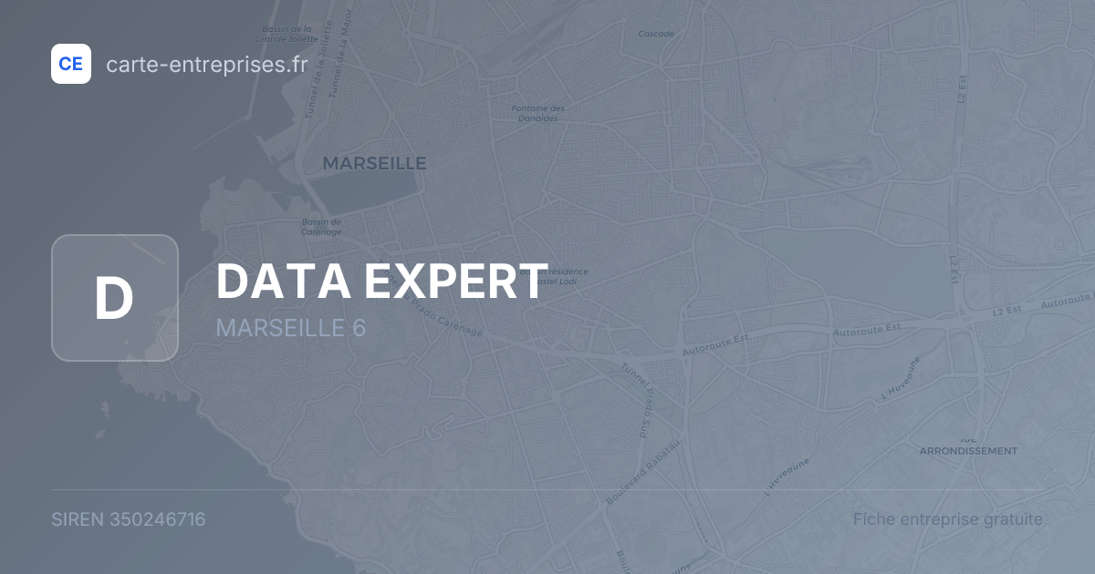 DATA EXPERT — 350246716 — fiche entreprise