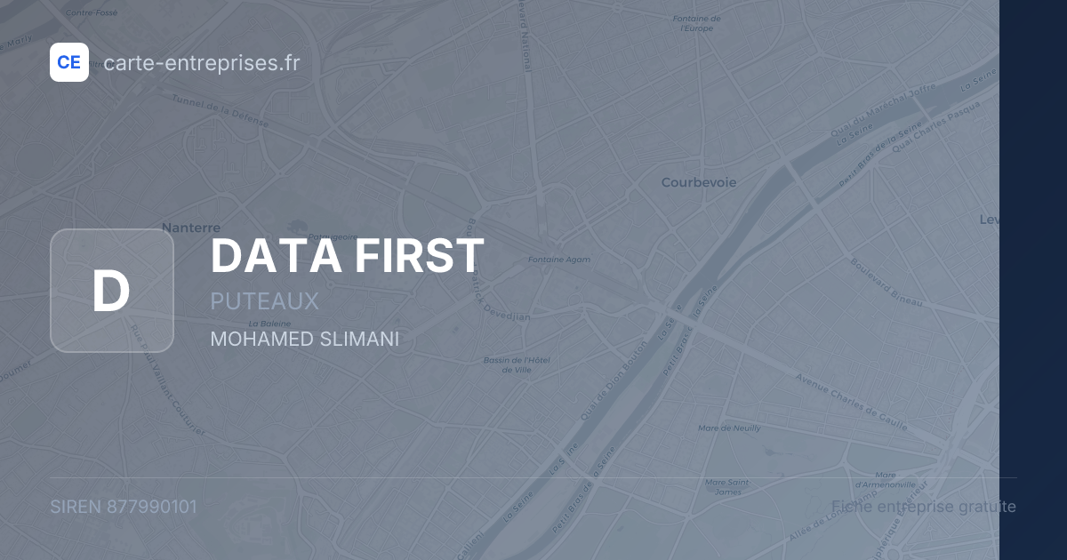 DATA FIRST — 877990101 — fiche entreprise