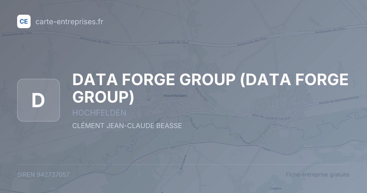 DATA FORGE GROUP — 942737057 — fiche entreprise
