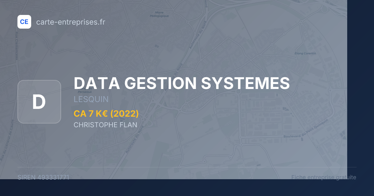 DATA GESTION SYSTEMES — 493331771 — fiche entreprise