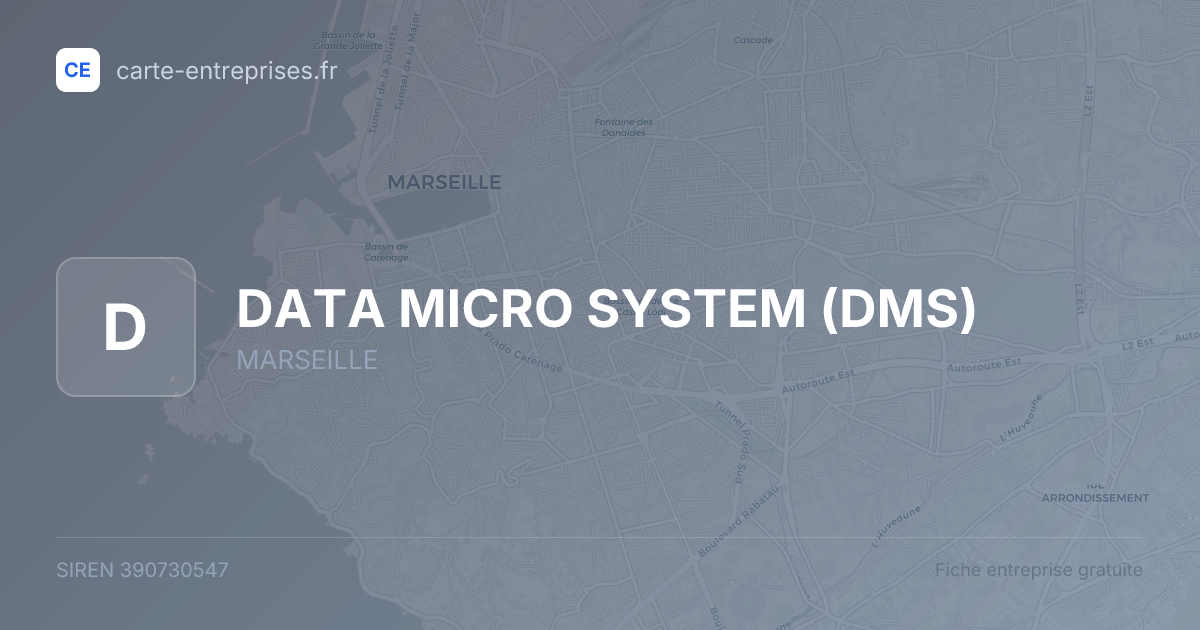 DATA MICRO SYSTEM (DMS) — 390730547 — fiche entreprise