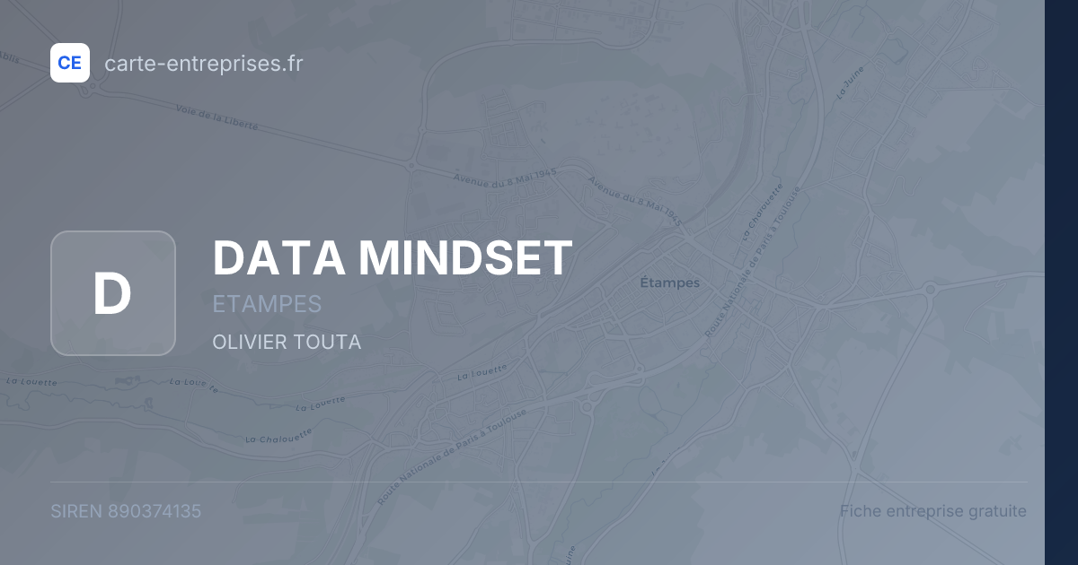 DATA MINDSET — 890374135 — fiche entreprise