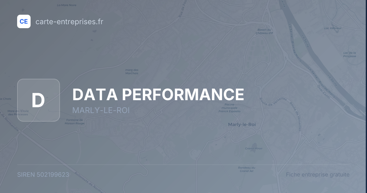 DATA PERFORMANCE — 502199623 — fiche entreprise