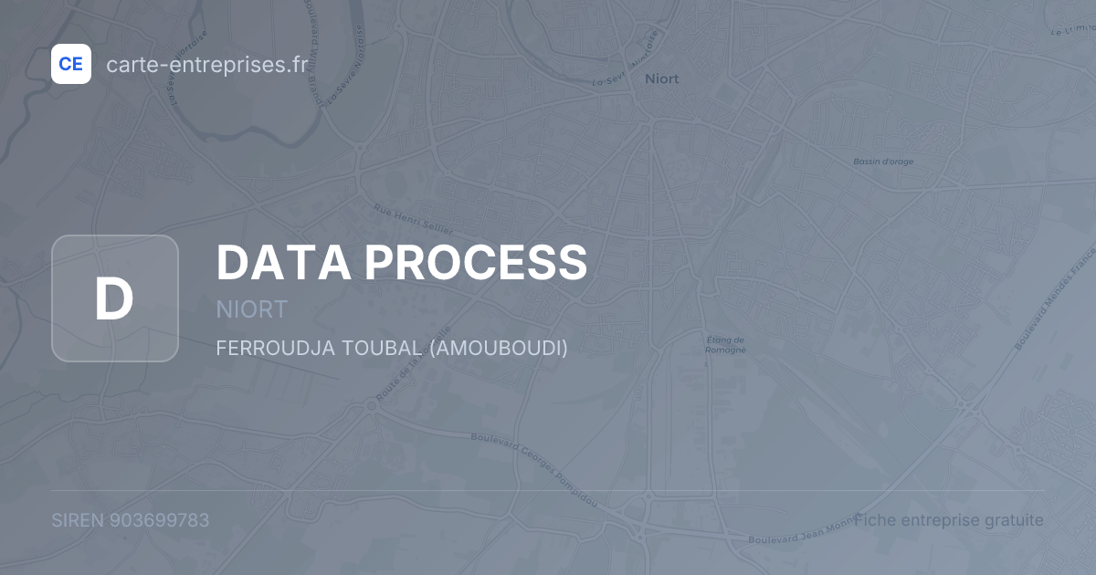 DATA PROCESS — 903699783 — fiche entreprise