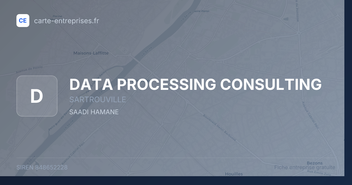 DATA PROCESSING CONSULTING — 848652228 — fiche entreprise