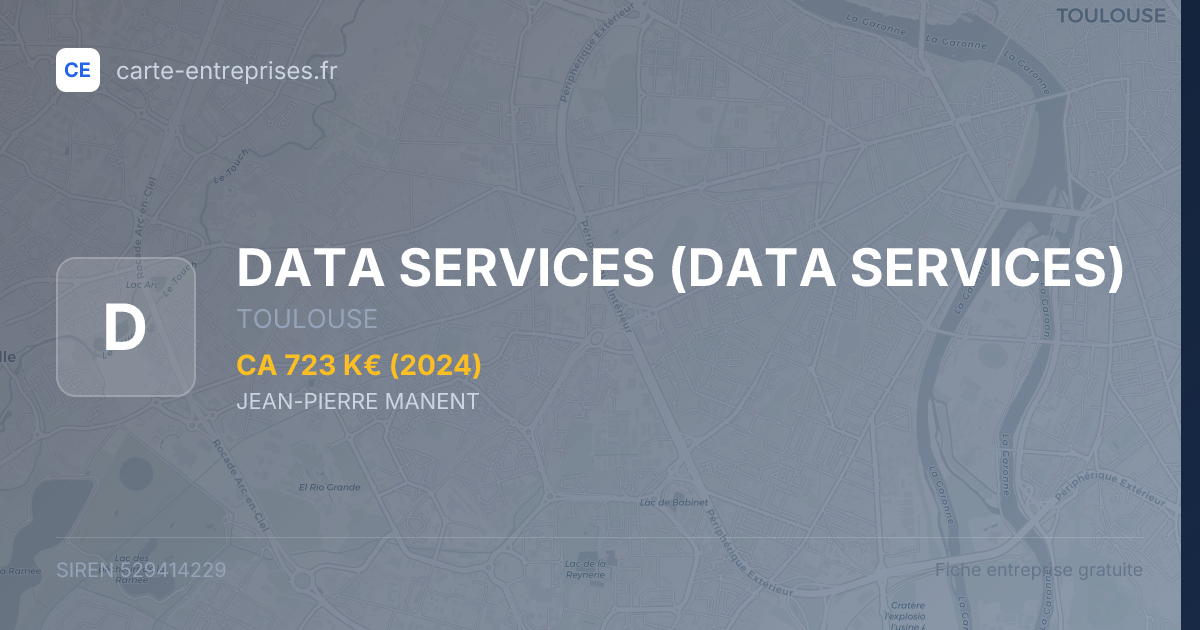 DATA SERVICES — 529414229 — fiche entreprise