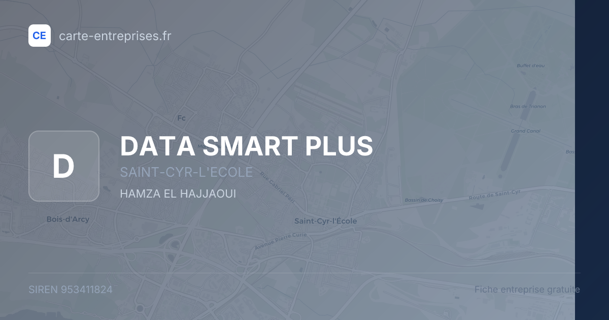 DATA SMART PLUS — 953411824 — fiche entreprise