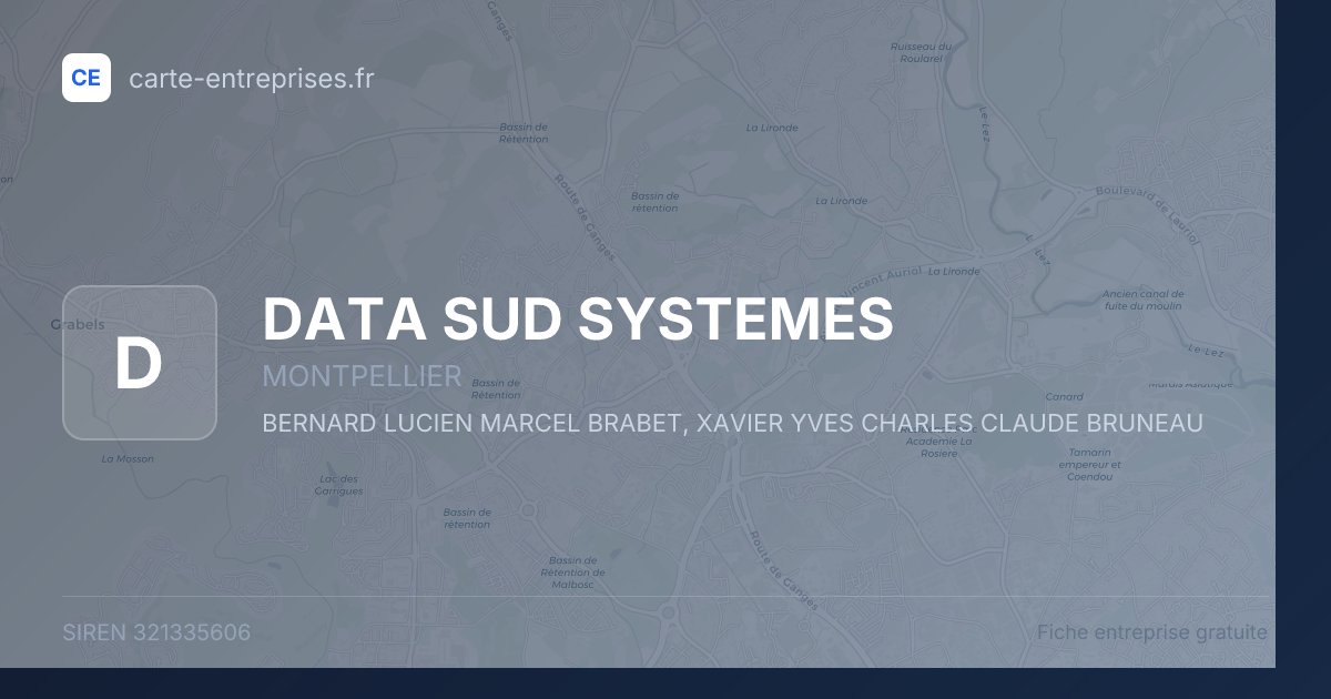 DATA SUD SYSTEMES — 321335606 — fiche entreprise