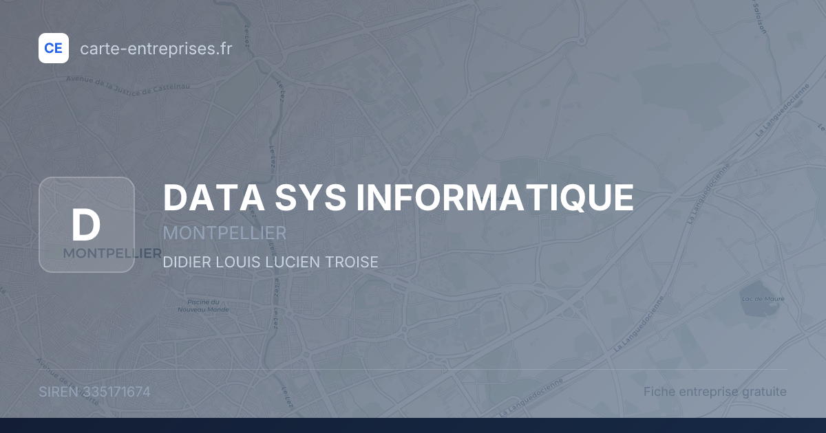 DATA SYS INFORMATIQUE — 335171674 — fiche entreprise