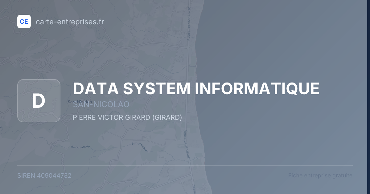 DATA SYSTEM INFORMATIQUE — 409044732 — fiche entreprise