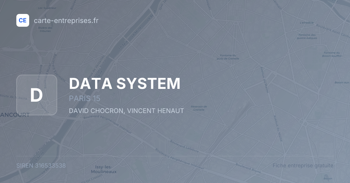 DATA SYSTEM — 316533538 — fiche entreprise