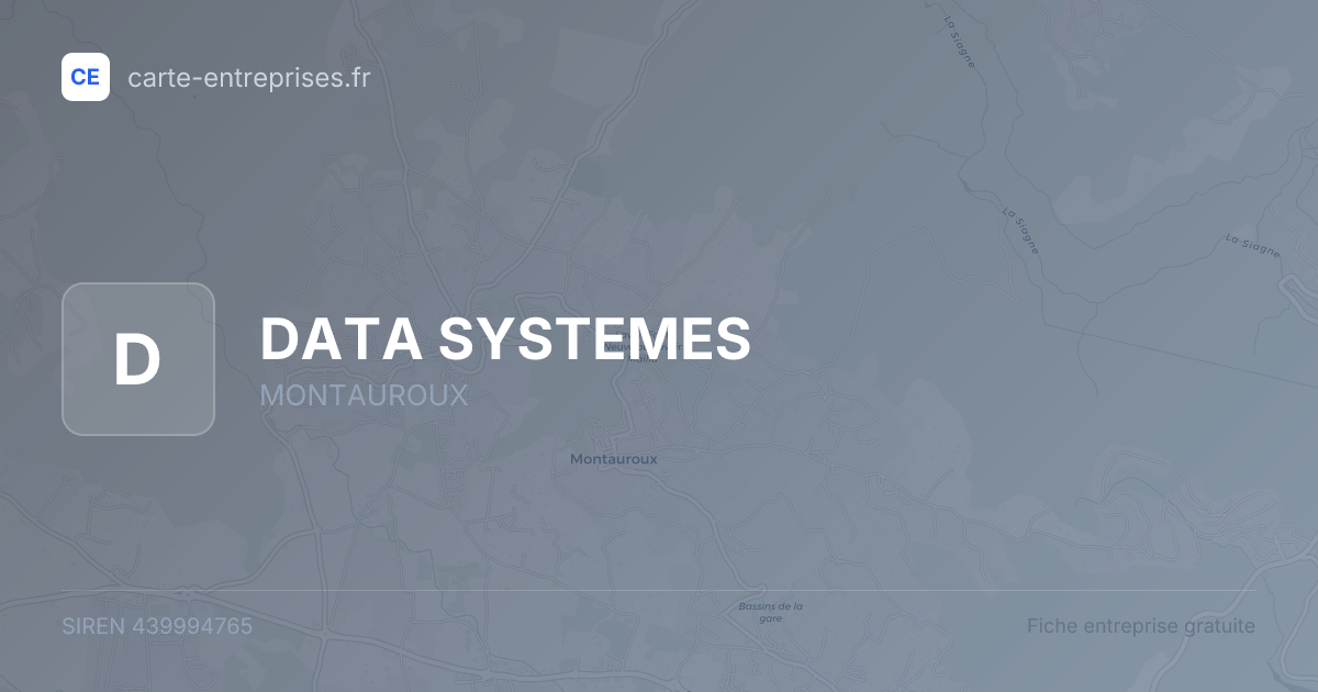 DATA SYSTEMES — 439994765 — fiche entreprise