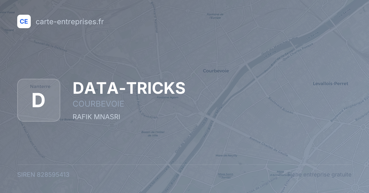 DATA-TRICKS — 828595413 — fiche entreprise