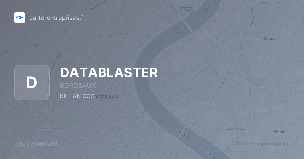 DATABLASTER — 914667290 — fiche entreprise