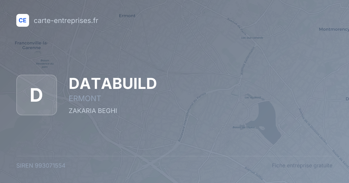 DATABUILD — 993071554 — fiche entreprise