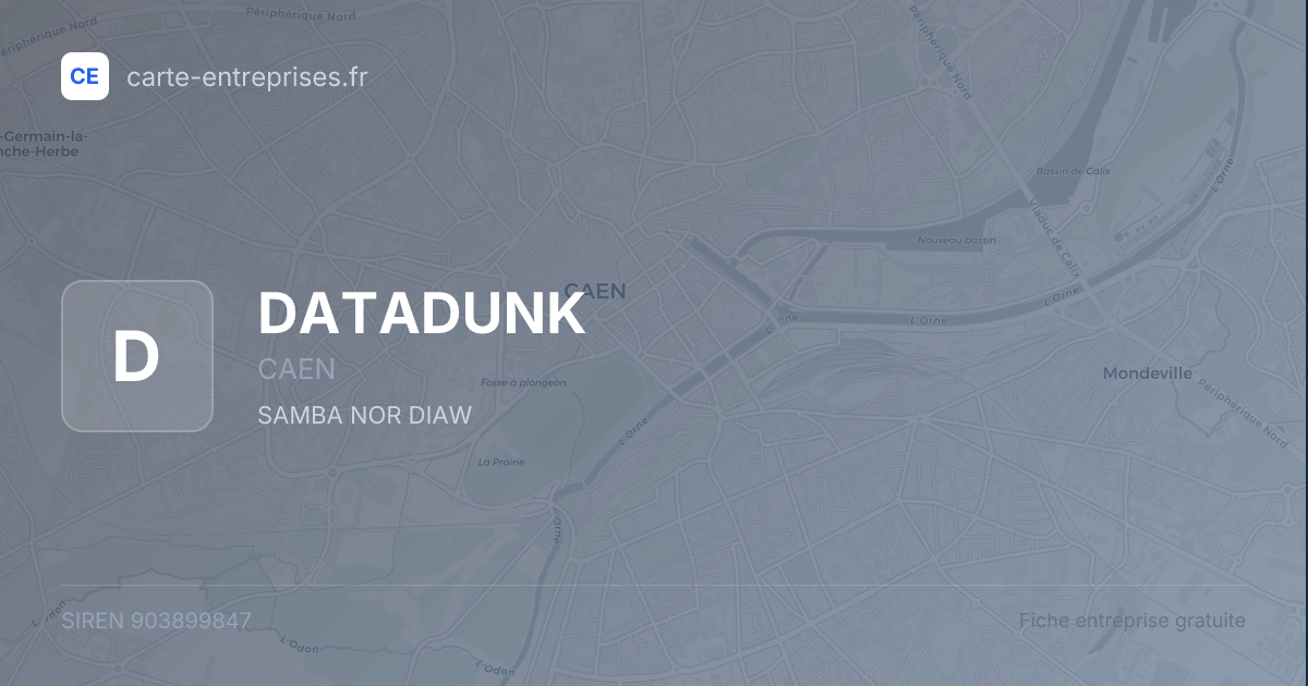 DATADUNK — 903899847 — fiche entreprise