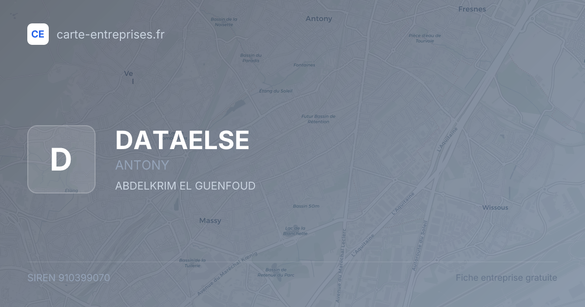 DATAELSE — 910399070 — fiche entreprise