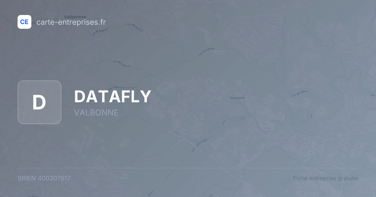 DATAFLY — 400307617 — fiche entreprise