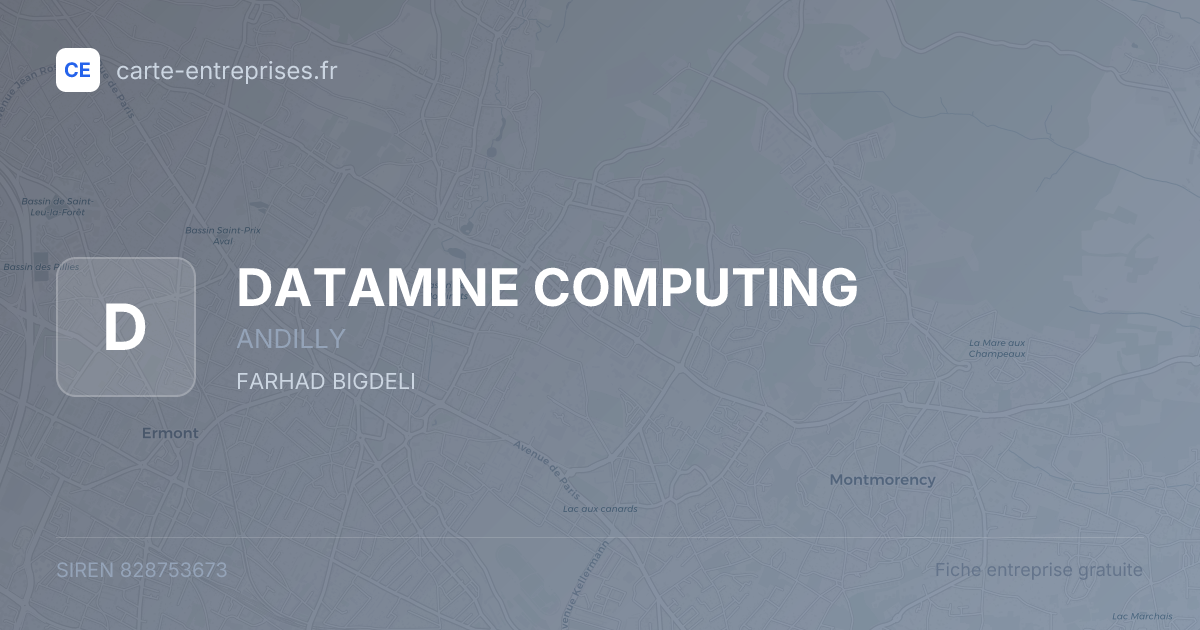 DATAMINE COMPUTING — 828753673 — fiche entreprise