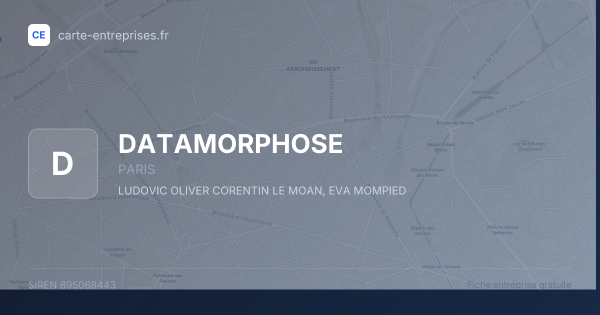 DATAMORPHOSE — 895068443 — fiche entreprise