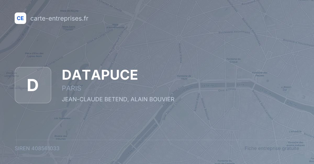 DATAPUCE — 408561033 — fiche entreprise