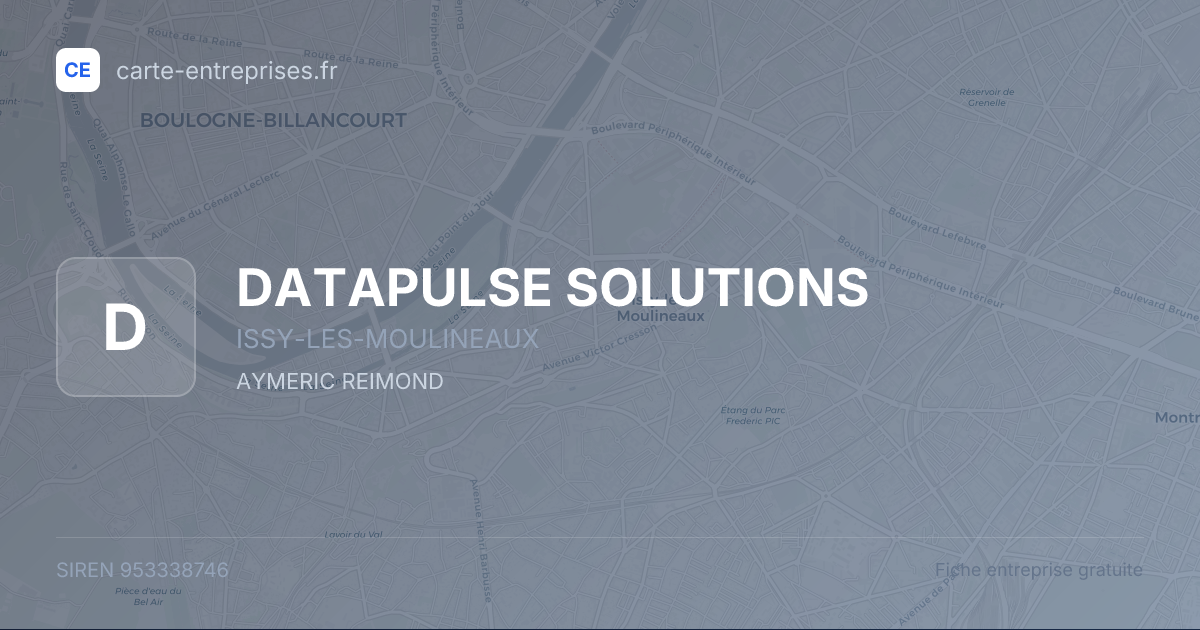 DATAPULSE SOLUTIONS — 953338746 — fiche entreprise